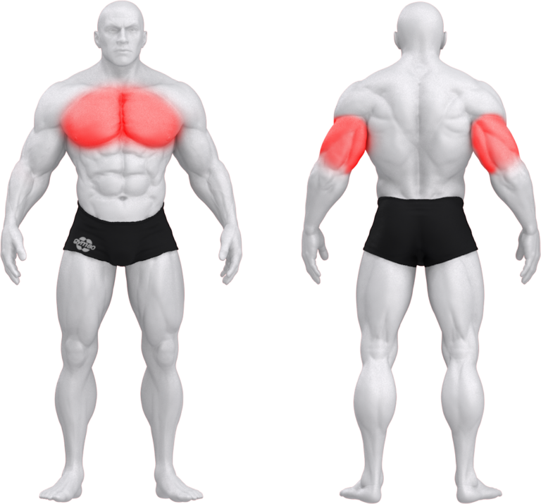 4331 PURE KRAFT DRÜCKBANK LIEGEND DUAL gym80 International GmbH